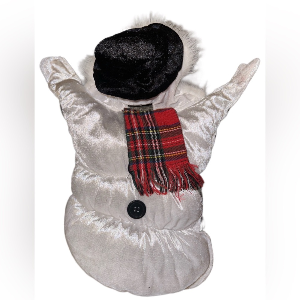 💙 Snowman dog outfit